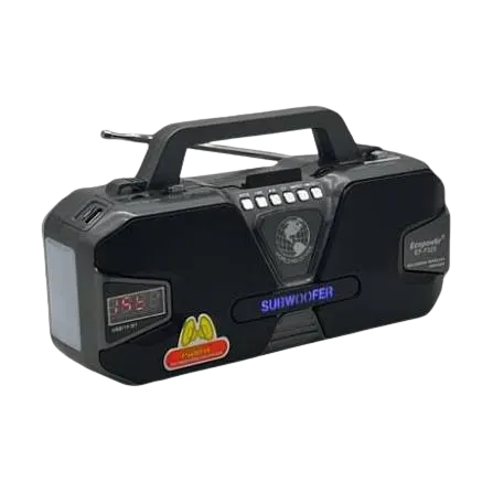 RADIO ECOPOWER EP-F329 BT