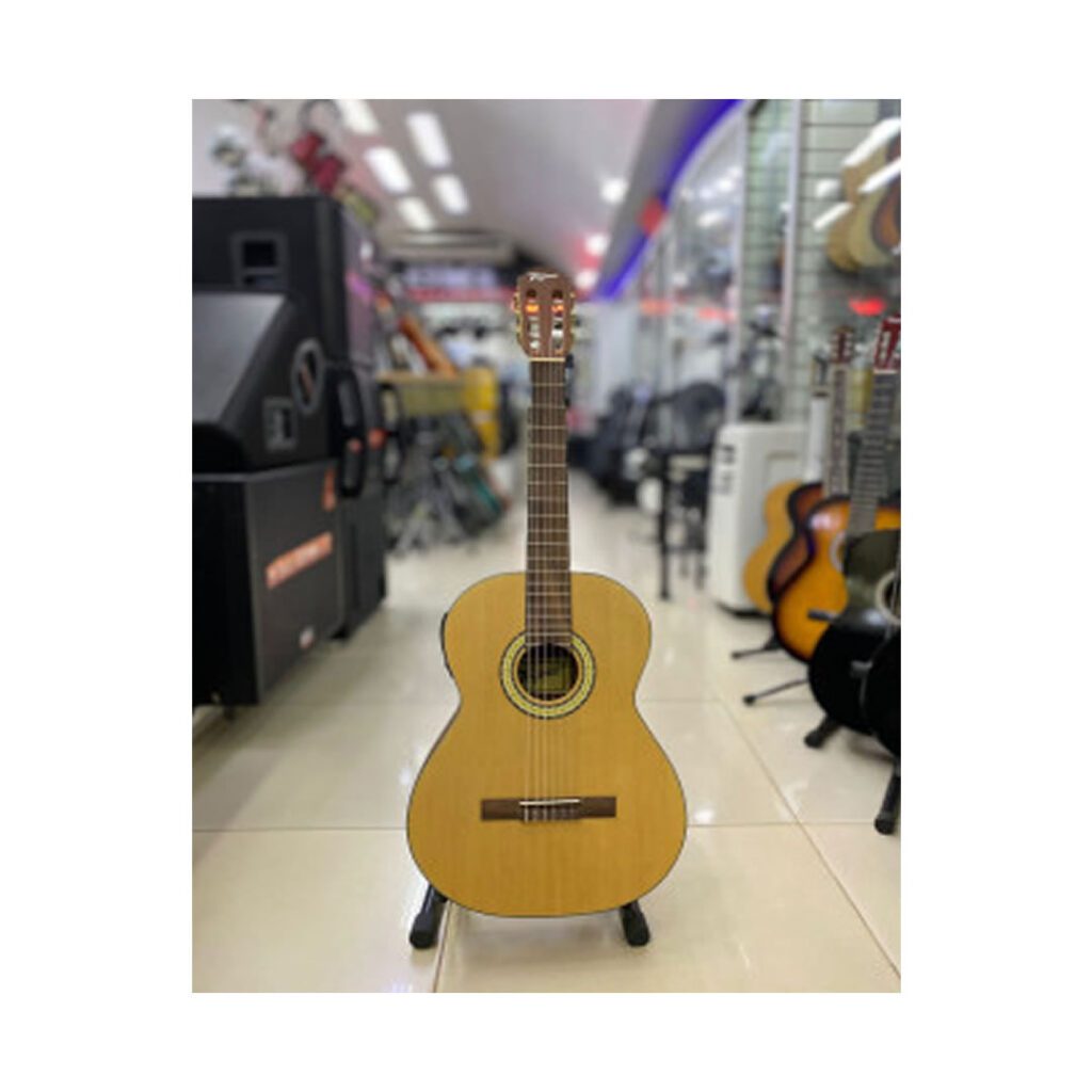 GUITARRA CLASICA FREEMAN SC-040NT