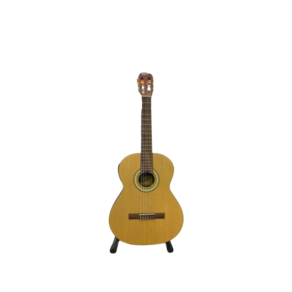 GUITARRA CLASICA FREEMAN SC-040NT
