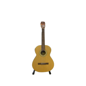 GUITARRA CLASICA FREEMAN SC-040NT